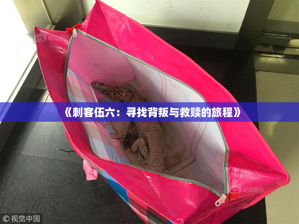 《刺客伍六：寻找背叛与救赎的旅程》