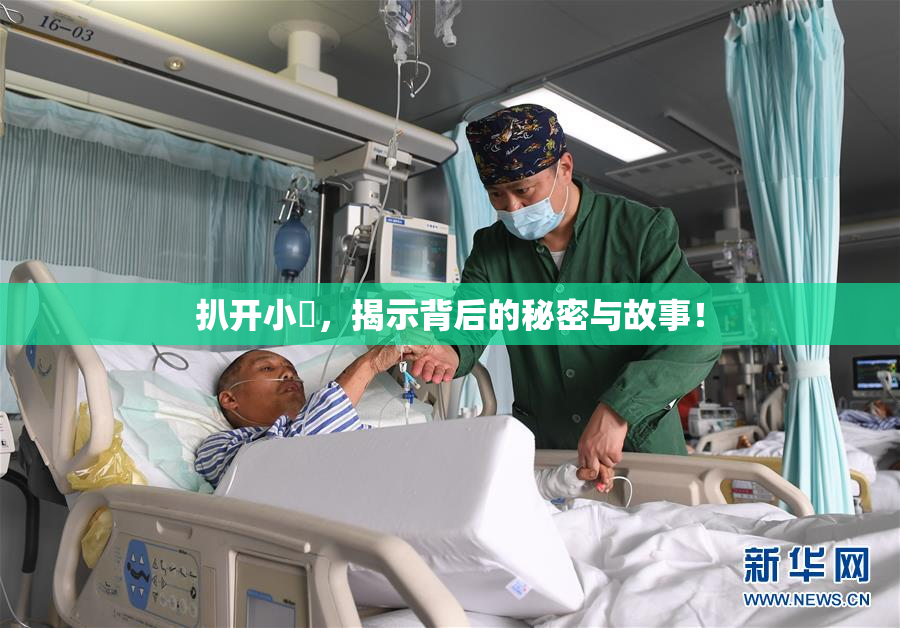 扒开小泬，揭示背后的秘密与故事！
