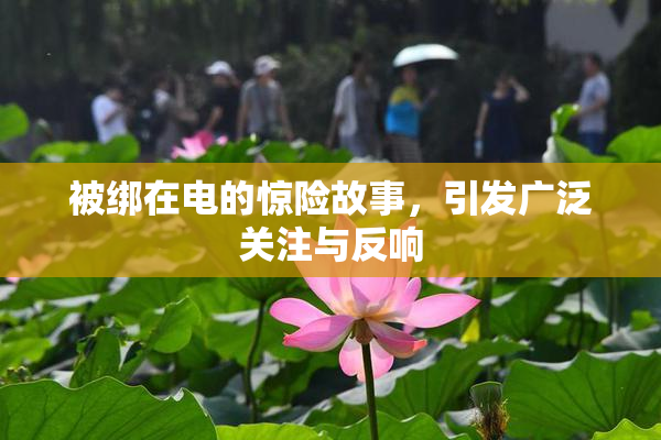被绑在电的惊险故事，引发广泛关注与反响