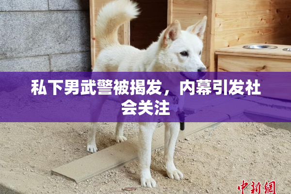 私下男武警被揭发，内幕引发社会关注