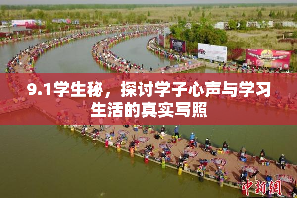 9.1学生秘，探讨学子心声与学习生活的真实写照