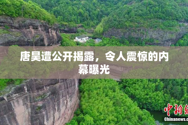 唐昊遭公开揭露，令人震惊的内幕曝光