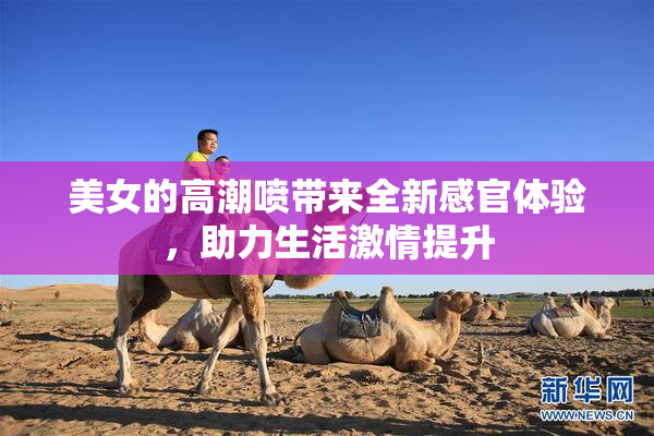 美女的高潮喷带来全新感官体验，助力生活激情提升