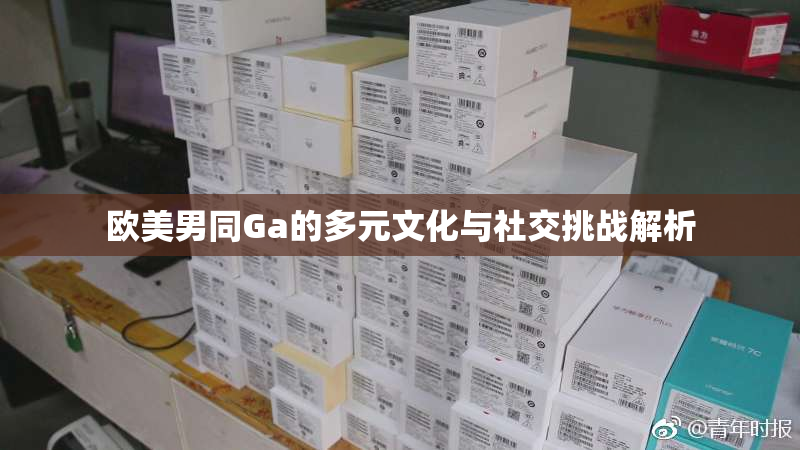 欧美男同Ga的多元文化与社交挑战解析