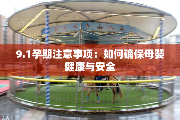 9.1孕期注意事项：如何确保母婴健康与安全