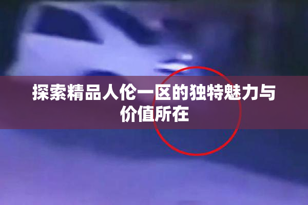 探索精品人伦一区的独特魅力与价值所在