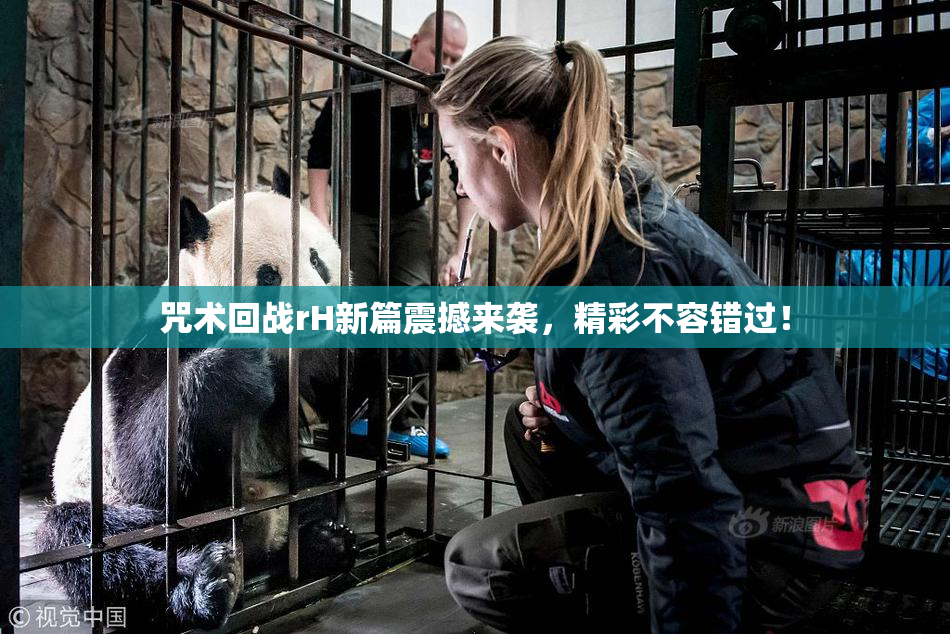 咒术回战rH新篇震撼来袭，精彩不容错过！