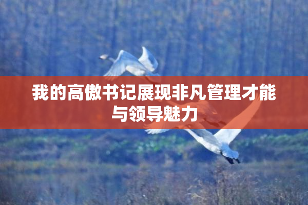 我的高傲书记展现非凡管理才能与领导魅力