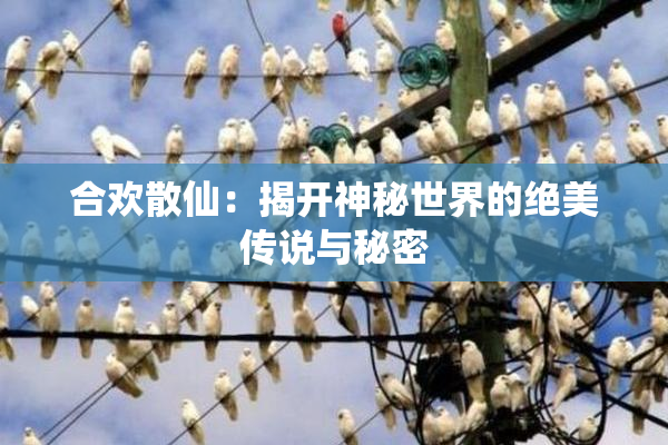 合欢散仙：揭开神秘世界的绝美传说与秘密