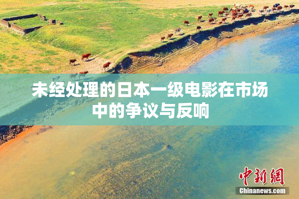 未经处理的日本一级电影在市场中的争议与反响