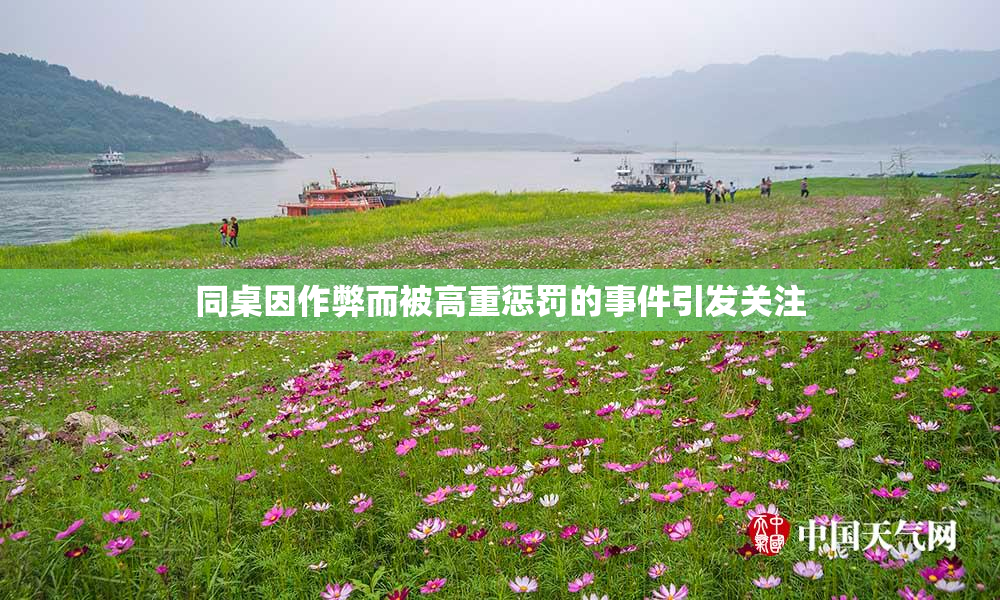 同桌因作弊而被高重惩罚的事件引发关注