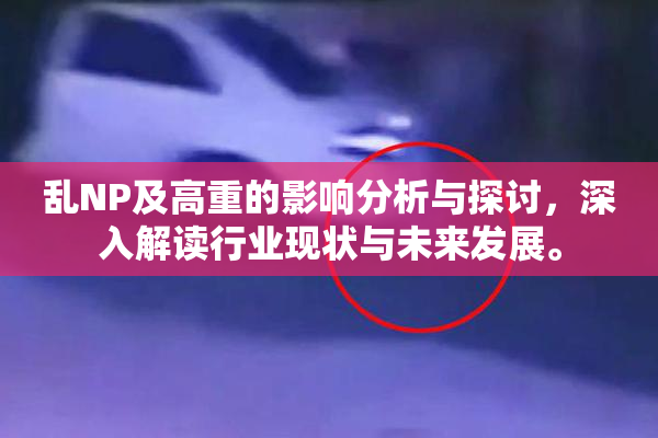 乱NP及高重的影响分析与探讨，深入解读行业现状与未来发展。