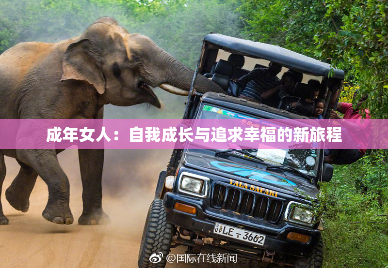 成年女人：自我成长与追求幸福的新旅程