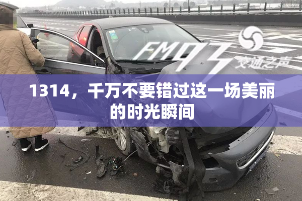 1314，千万不要错过这一场美丽的时光瞬间