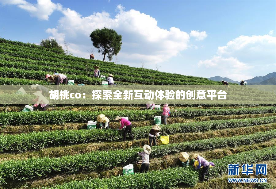 胡桃co：探索全新互动体验的创意平台
