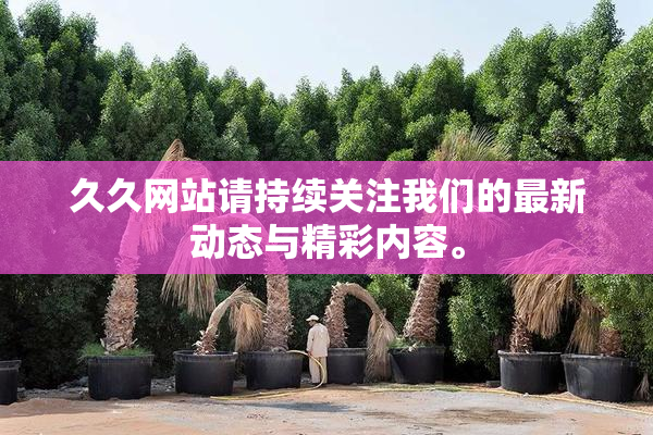 久久网站请持续关注我们的最新动态与精彩内容。