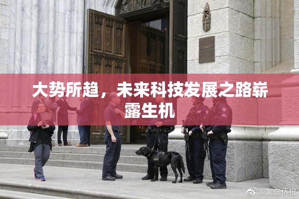 大势所趋，未来科技发展之路崭露生机