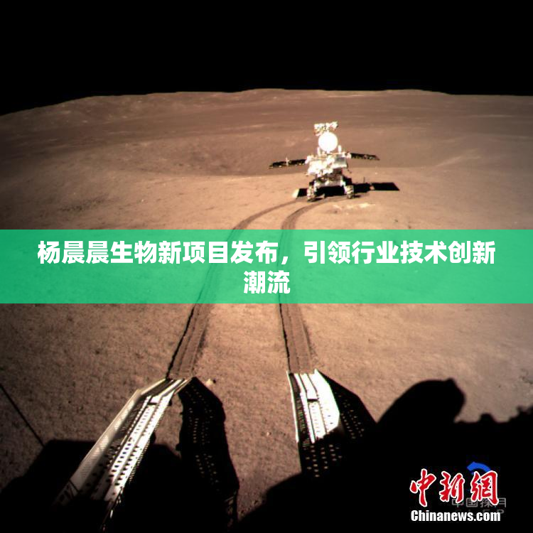 杨晨晨生物新项目发布，引领行业技术创新潮流