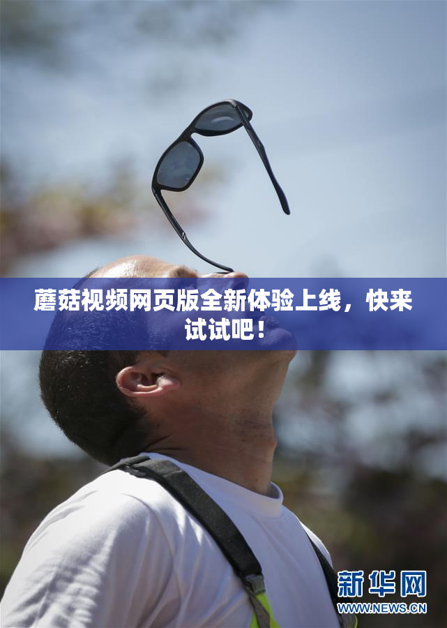 蘑菇视频网页版全新体验上线，快来试试吧！