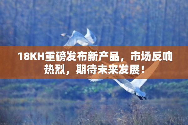 18KH重磅发布新产品，市场反响热烈，期待未来发展！