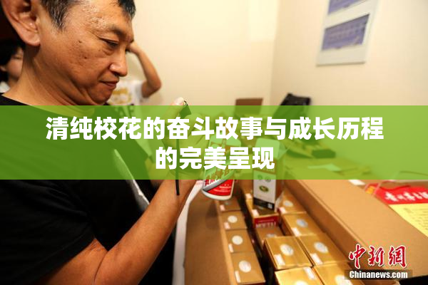 清纯校花的奋斗故事与成长历程的完美呈现