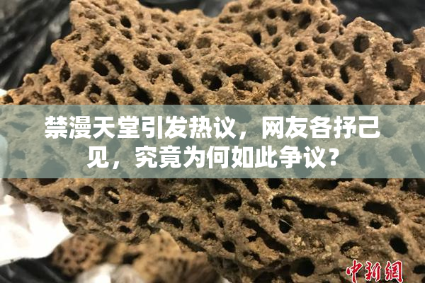 禁漫天堂引发热议，网友各抒己见，究竟为何如此争议？