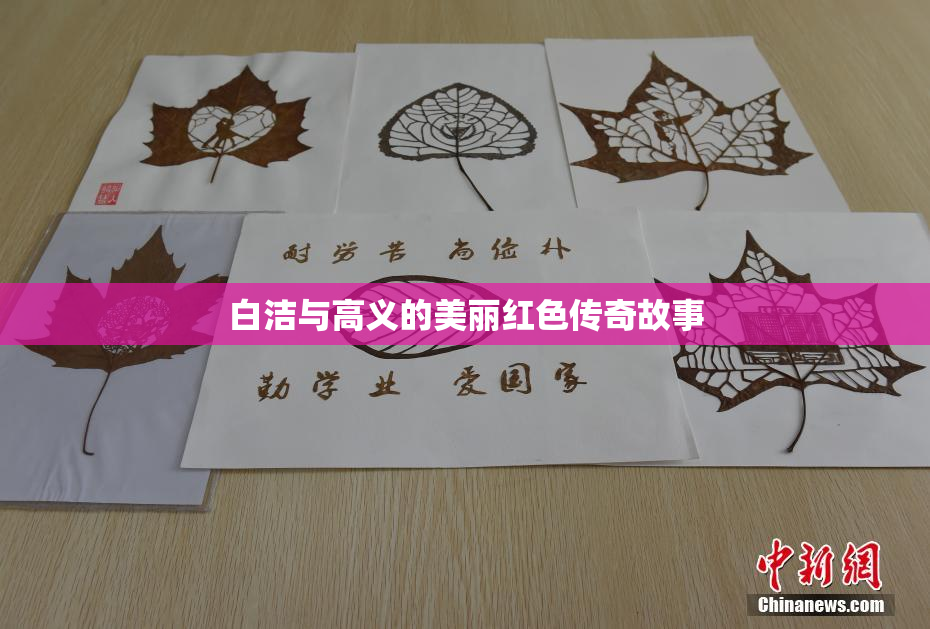 白洁与高义的美丽红色传奇故事