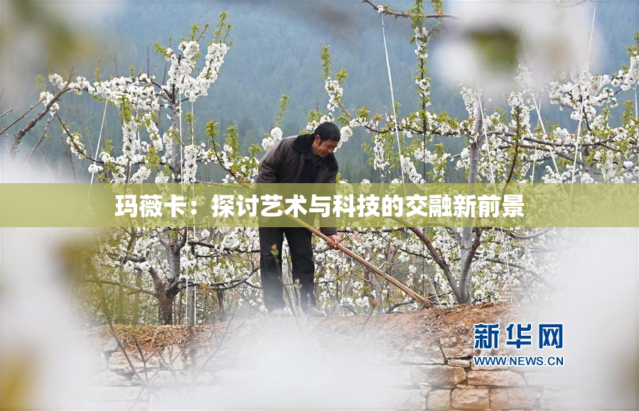 玛薇卡：探讨艺术与科技的交融新前景