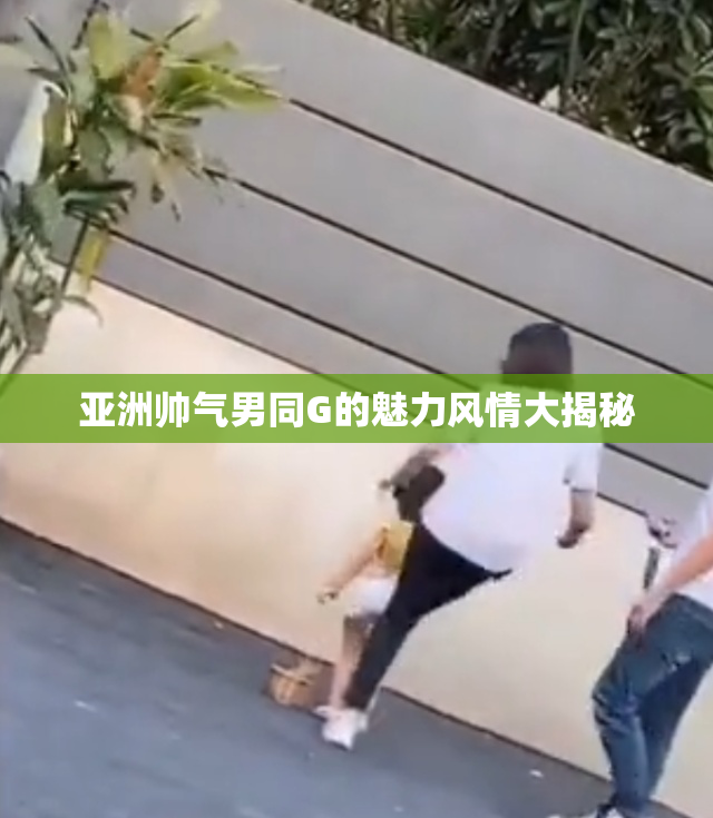 亚洲帅气男同G的魅力风情大揭秘