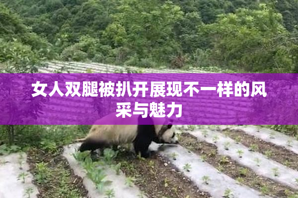 女人双腿被扒开展现不一样的风采与魅力
