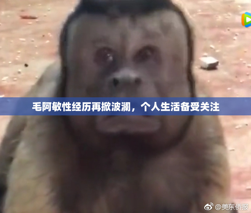 毛阿敏性经历再掀波澜，个人生活备受关注
