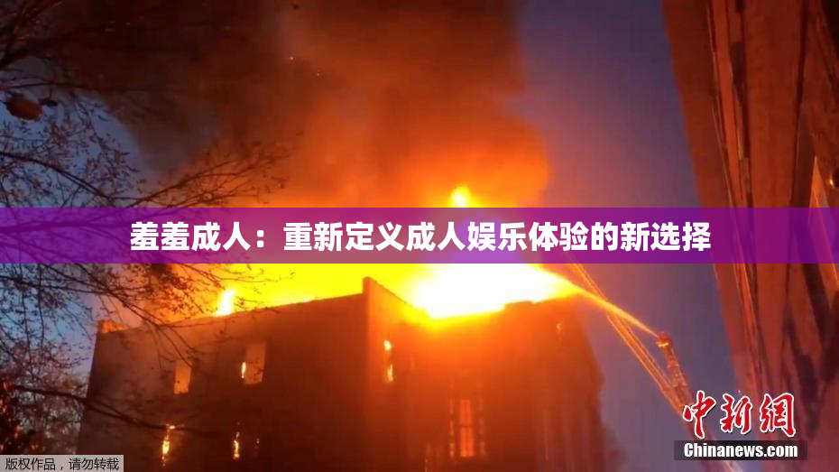 羞羞成人：重新定义成人娱乐体验的新选择