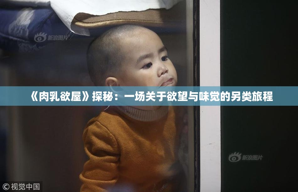 《肉乳欲屋》探秘：一场关于欲望与味觉的另类旅程