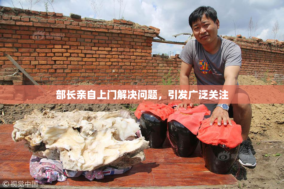 部长亲自上门解决问题，引发广泛关注