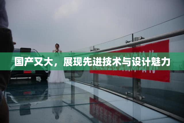 国产又大，展现先进技术与设计魅力