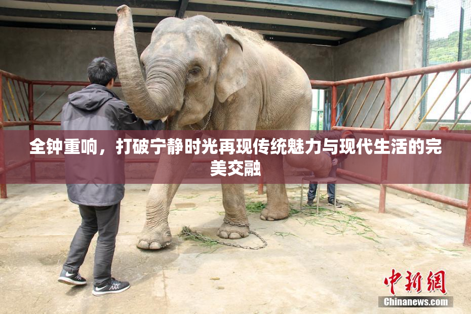 全钟重响，打破宁静时光再现传统魅力与现代生活的完美交融