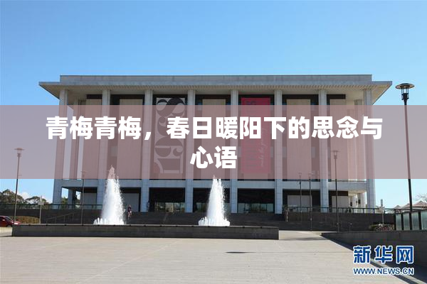 青梅青梅，春日暖阳下的思念与心语