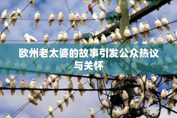 欧州老太婆的故事引发公众热议与关怀