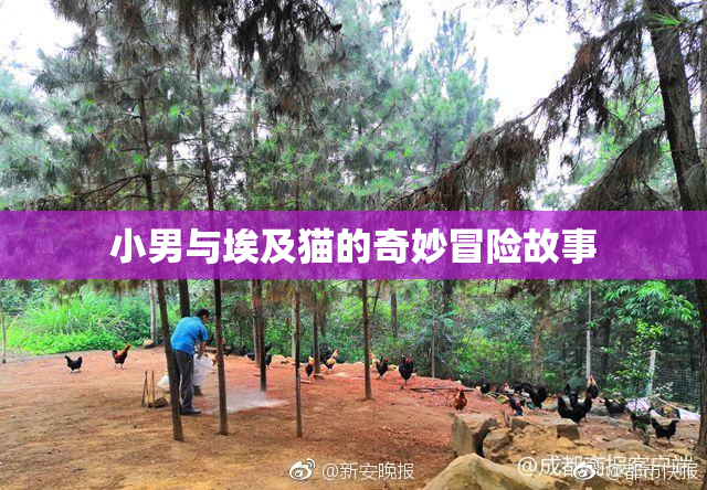 小男与埃及猫的奇妙冒险故事