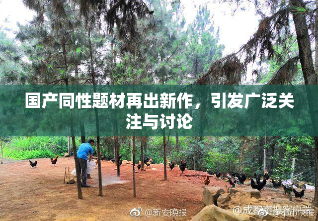 国产同性题材再出新作，引发广泛关注与讨论