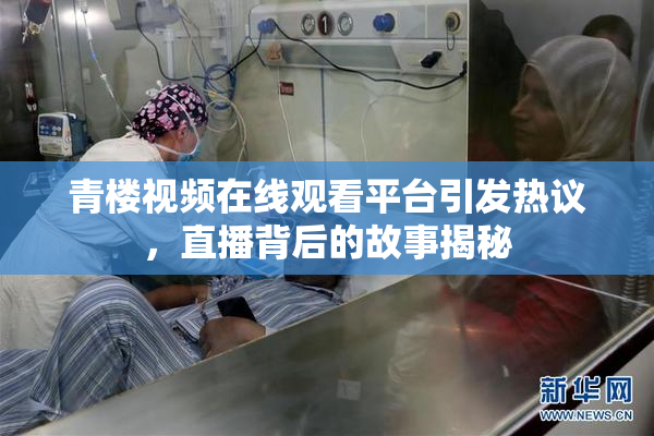 青楼视频在线观看平台引发热议，直播背后的故事揭秘