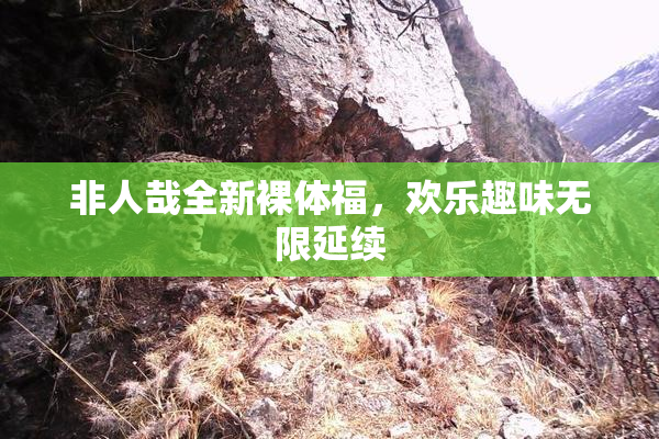 非人哉全新裸体福，欢乐趣味无限延续
