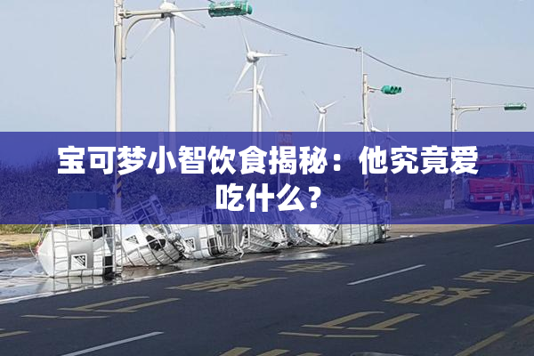 宝可梦小智饮食揭秘：他究竟爱吃什么？