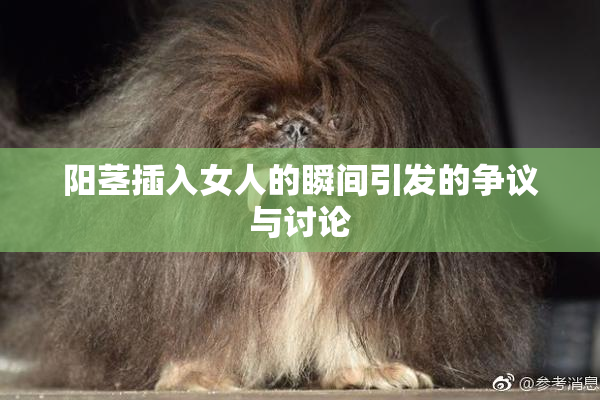 阳茎插入女人的瞬间引发的争议与讨论
