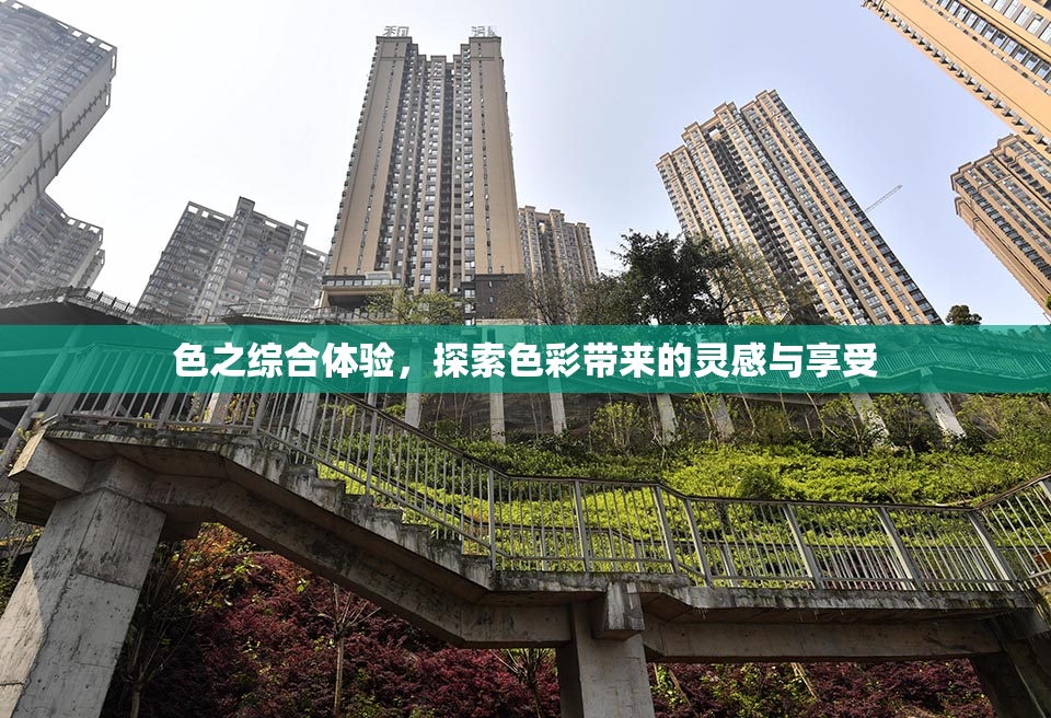 色之综合体验，探索色彩带来的灵感与享受