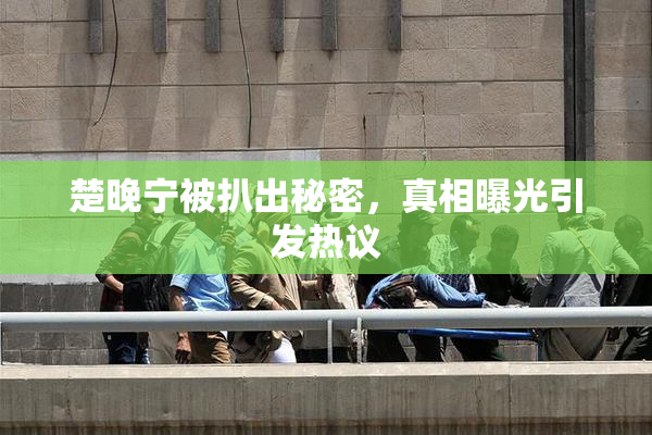 楚晚宁被扒出秘密，真相曝光引发热议