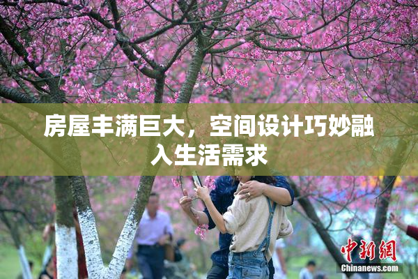 房屋丰满巨大，空间设计巧妙融入生活需求