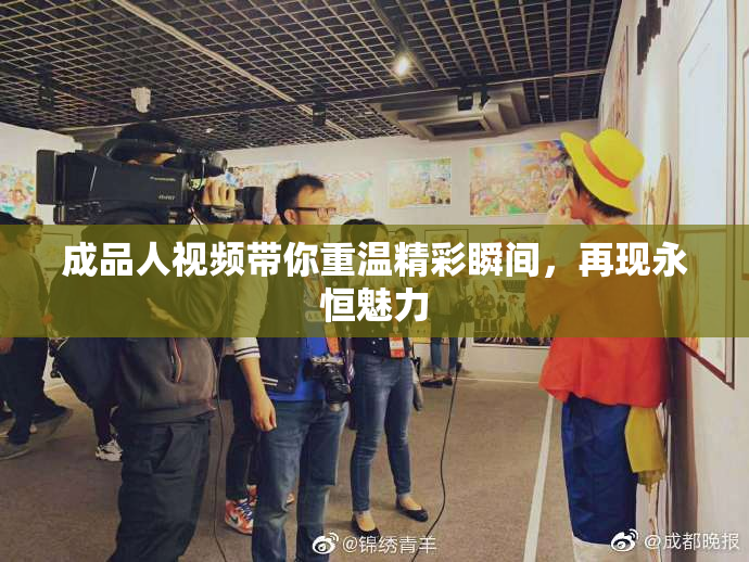 成品人视频带你重温精彩瞬间，再现永恒魅力