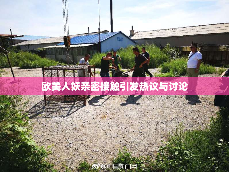 欧美人妖亲密接触引发热议与讨论