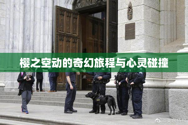 樱之空动的奇幻旅程与心灵碰撞